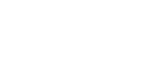 A10 Logo